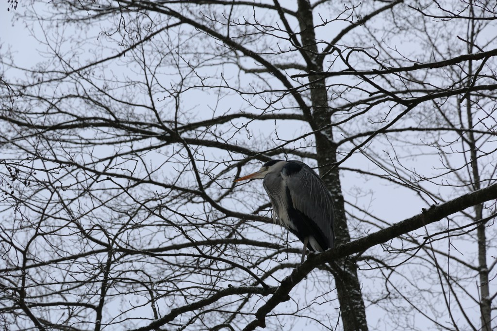 IMG_8837